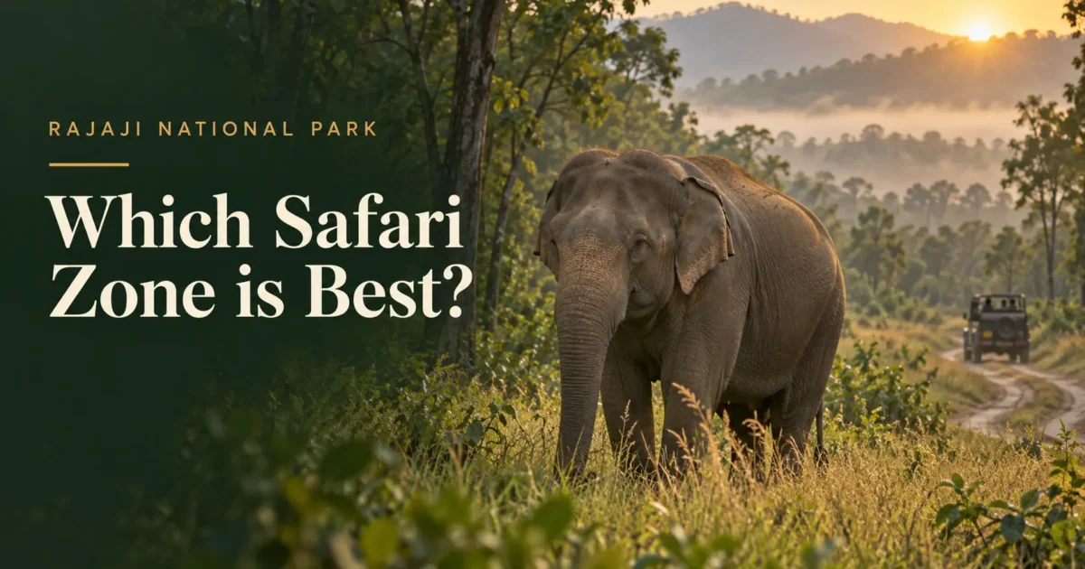 Which Safari Zone is Best in Rajaji National Park?