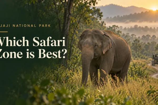Which Safari Zone is Best in Rajaji National Park?